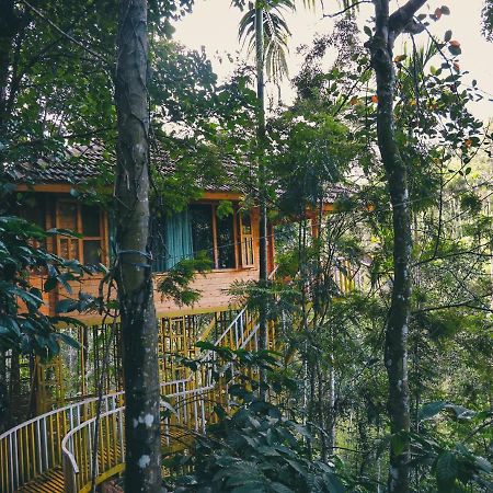Bamboo Creek Resort Vaduvanchal Exterior foto