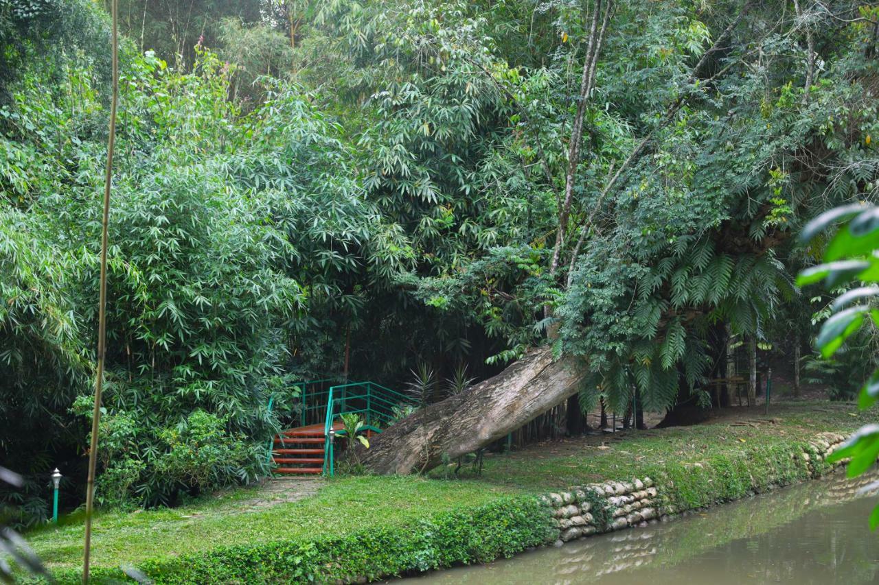 Bamboo Creek Resort Vaduvanchal Exterior foto